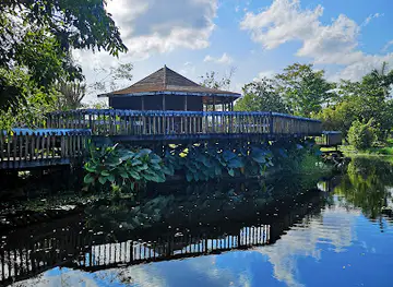 Royal Palm Reserve