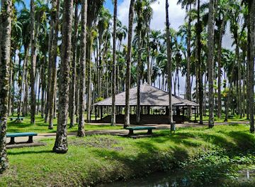 suriname/saramacca-district/landmark/palmtree-garden