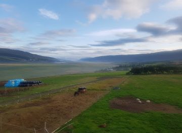 iceland/akureyri/landmark/brunir-horse