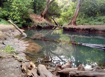 ethiopia/arba-minch/landmark/forty-springs