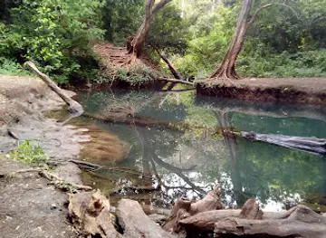 Forty Springs