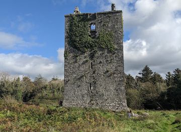 ireland/connacht/landmark/merlin-castle