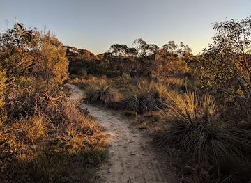 australia/coorong/landmark/lions-walking-trail