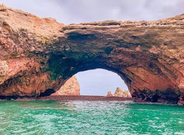 peru/paracas-national-reserve/landmark/marina-turistica-de-paracas