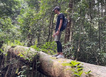 gabon/mayombe-forest/landmark/arboretum-raponda-walker