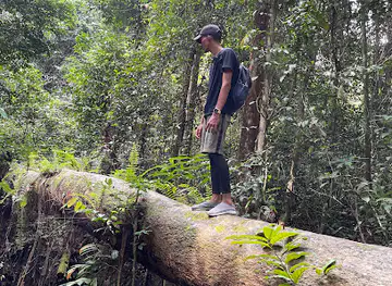 Arboretum Raponda Walker