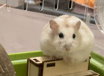 guinea-bissau/bissau-region/landmark/bissau-sign