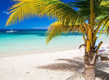 saint-vincent-and-the-grenadines/palm-island/landmark/grenadines-fishing