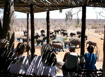 namibia/windhoek/landmark/wild-wind-safaris