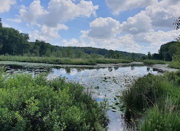 netherlands/dutch-coast/landmark/meinweg-national-park