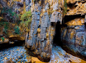 australia/mount-field-national-park/landmark/remarkable-cave