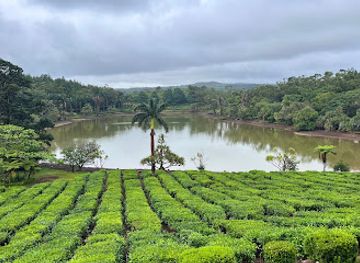 mauritius/riviere-du-rempart/landmark/bois-cheri-tea-factory