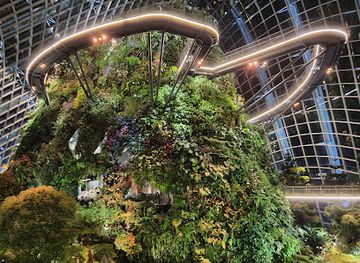 singapore/punggol/landmark/cloud-forest