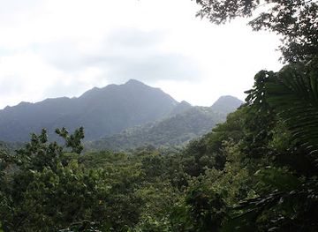 saint-lucia/anse-chastanet/landmark/millet-bird-sanctuary-and-nature-trail