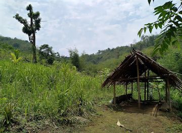 india/kaziranga-national-park/landmark/kakochang-waterfall