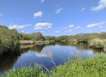 united-kingdom/the-broads/landmark/wheatfen-broad-ted-ellis-trust