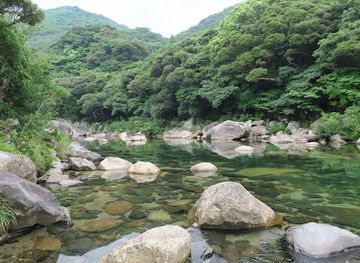 japan/yakushima/landmark/shakunage-no-mori-park