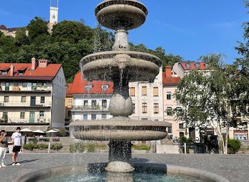 slovenia/carinthia/landmark/novi-trg-fountain