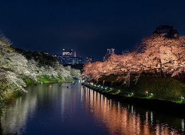 japan/kanto/landmark/chidorigafuchi-moat