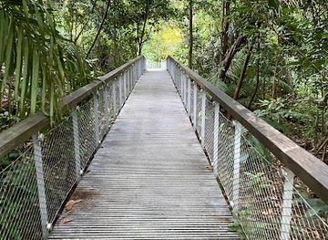 singapore/macritchie-reservoir/landmark/rifle-range-link