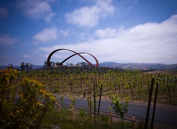 california/napa-valley/landmark/infinity-hill
