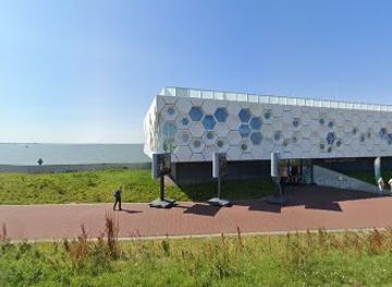 netherlands/wadden-islands/landmark/unesco-werelderfgoed-waddenzee