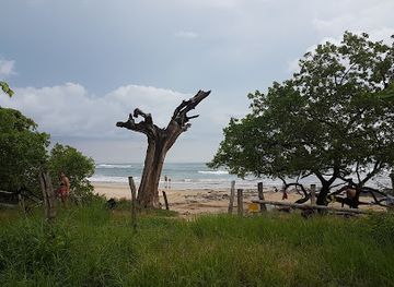costa-rica/tamarindo/landmark/playa-avellanas