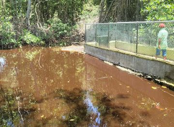 jamaica/martha-brae-river-valley/landmark/jamaica-swamp-safari