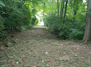 Cobblestone Path