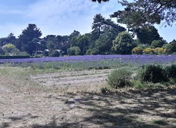 jersey/st-brelade/landmark/jersey-lavender-ltd