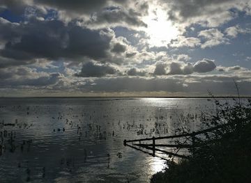 united-kingdom/essex/attraction/two-tree-island-2