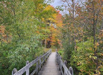 new-york/ithaca/landmark/sapsucker-woods