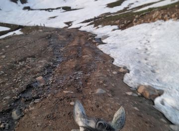 uzbekistan/namangan/landmark/smotrovaya