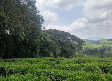 burundi/kirundo/landmark/kibira-national-park
