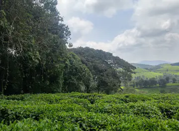Kibira National Park