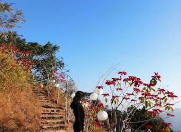 india/northeast-india/landmark/tsiekhrezou-view-point-nerhema