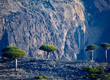 yemen/socotra-archipelago/landmark/diksam