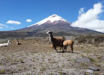 Cotopaxi- Administration National Park