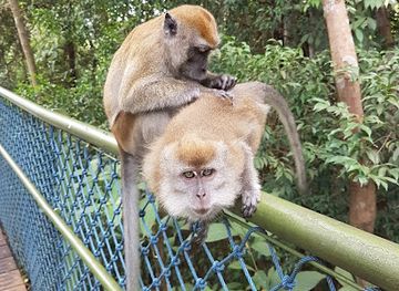 singapore/bukit-batok/landmark/rotunda