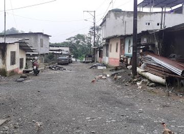 ecuador/santo-domingo-de-los-tsachilas-region/landmark/bosque-provincial-kasama