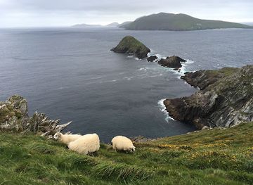 ireland/slea-head-drive/landmark/dunmore-head