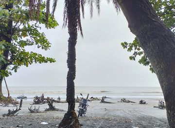 bangladesh/kuakata/landmark/jhau-bon