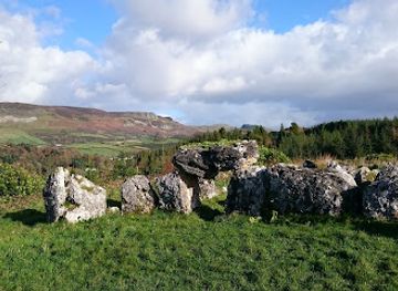 ireland/connacht/landmark/magheraghanrush-court-tomb