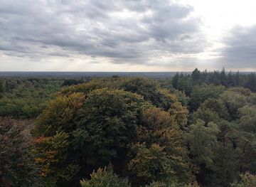 netherlands/utrechtse-heuvelrug/landmark/wandelroute-kaapse-bossen