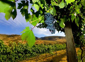 oregon/hood-river/landmark/the-pines-1852