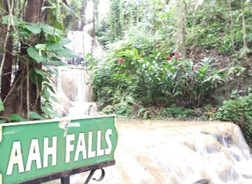 jamaica/john-crow-mountains/landmark/turtle-river-park