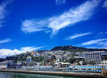 new-zealand/wellington/landmark/boat-sheds