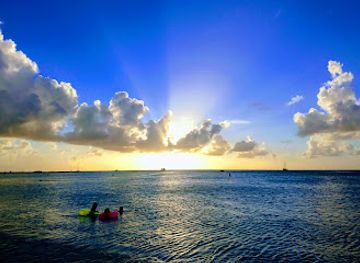 aruba/sero-blanco/landmark/moomba-beach-bar-restaurant
