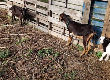 anguilla/crocus-bay/landmark/crocus-hill