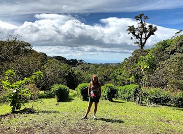 costa-rica/monteverde/landmark/curi-cancha-reserve